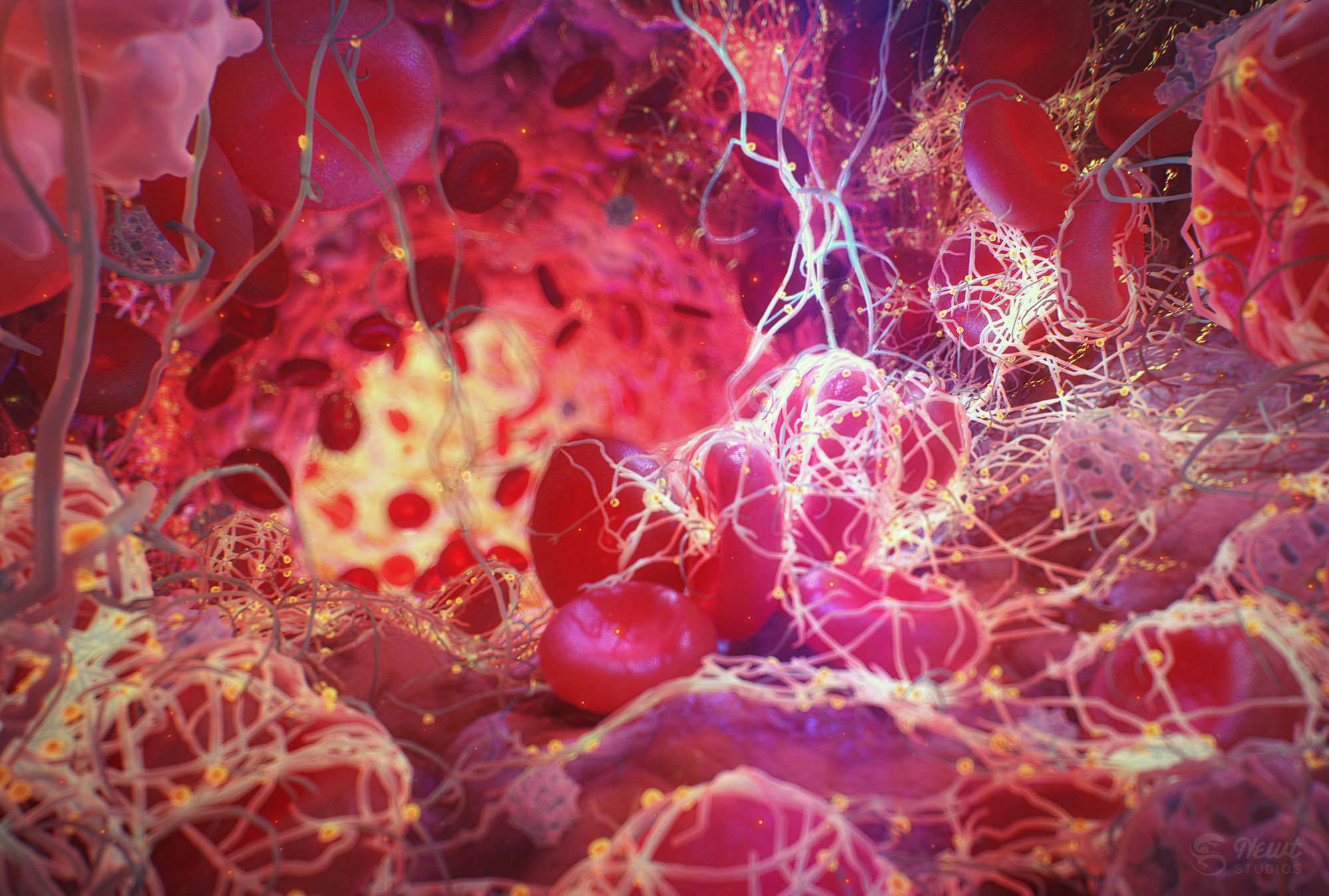 BLOOD CLOTTING PROCESS – 3D Visuals by Newt Studios